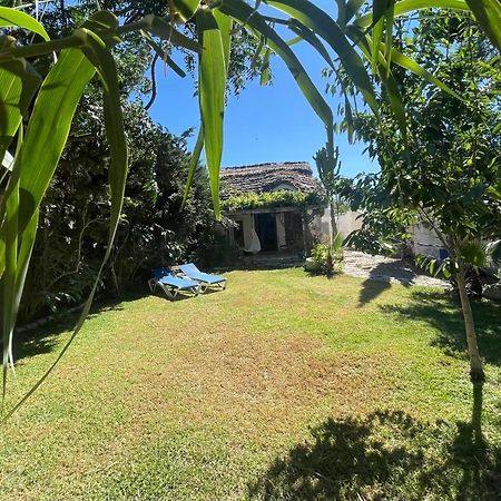 Chozito De Paja A 300M. Playa Mangueta Pensionat El Palmar  Exteriör bild