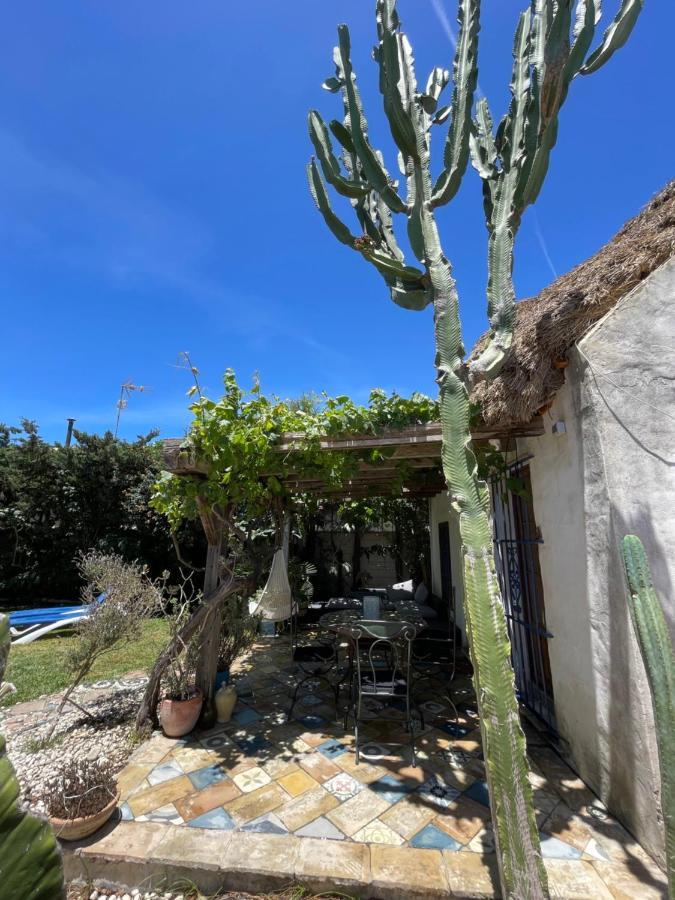 Chozito De Paja A 300M. Playa Mangueta Pensionat El Palmar  Exteriör bild
