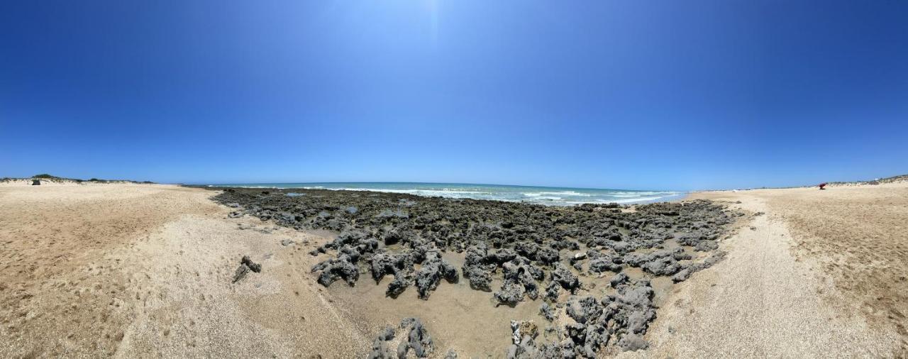 Chozito De Paja A 300M. Playa Mangueta Pensionat El Palmar  Exteriör bild