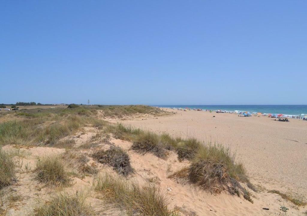 Chozito De Paja A 300M. Playa Mangueta Pensionat El Palmar  Exteriör bild